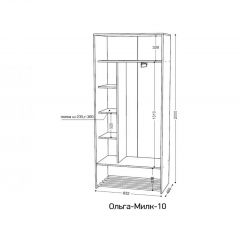 ОЛЬГА-МИЛК 10 Шкаф-купе с зеркалом | фото 2